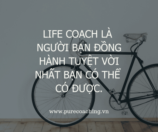 pure coaching vietnam 