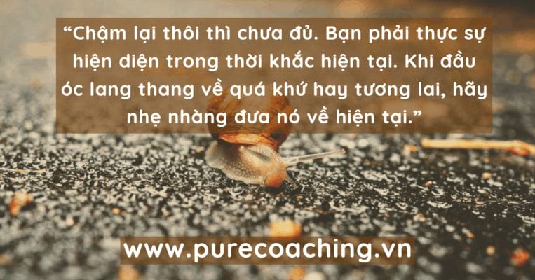 coaching-happiness-song-cham