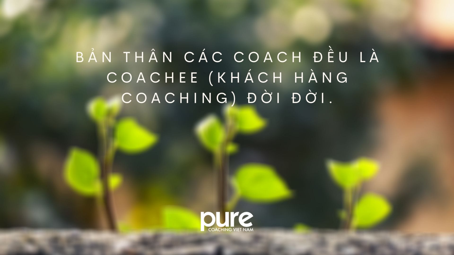 Làm thế nào để trở thành một Coach? 1